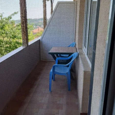 ками Byala (Varna)